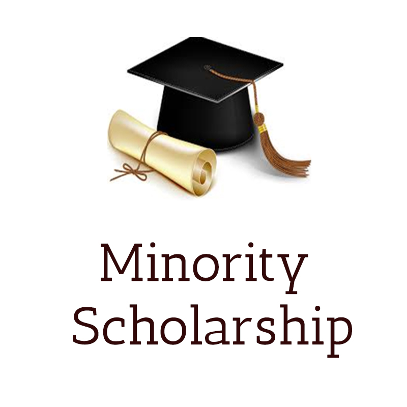 Minority Scholarship What You Need To Know Boomerang Educate